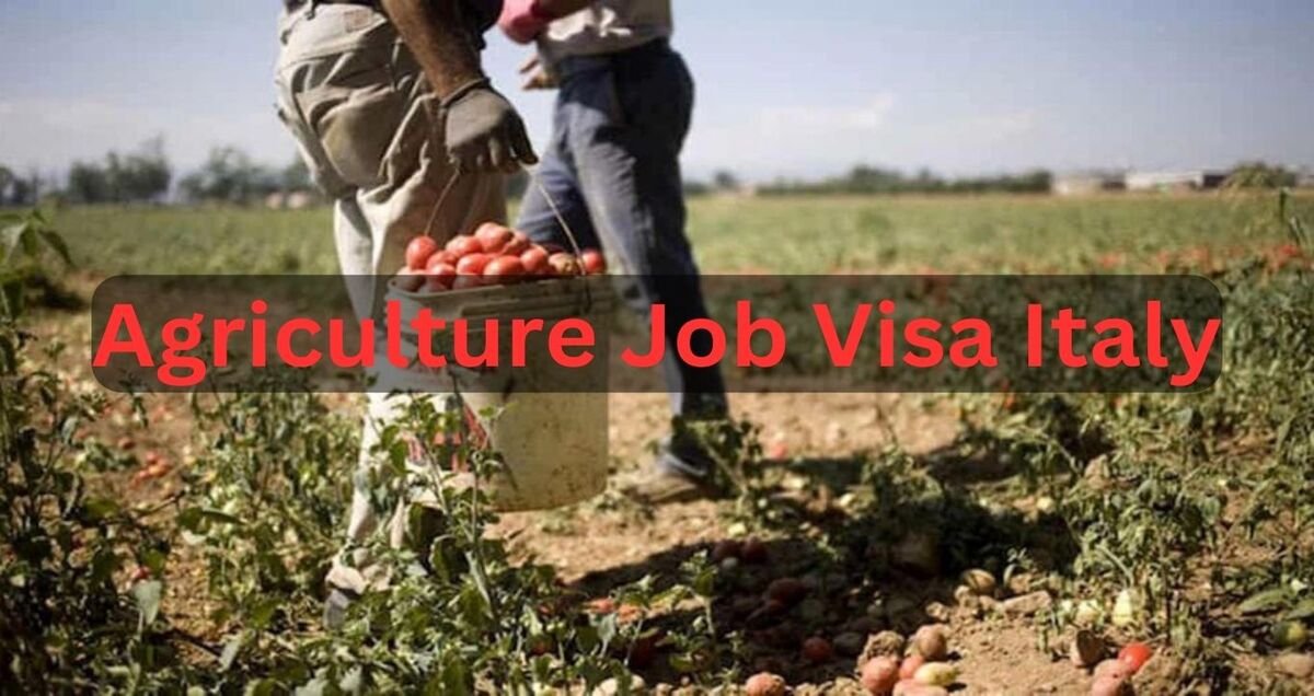 Agriculture Job Visa in Italy